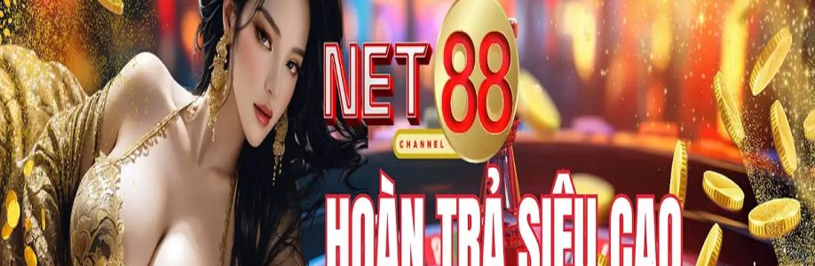 Net88 AE Cover Image