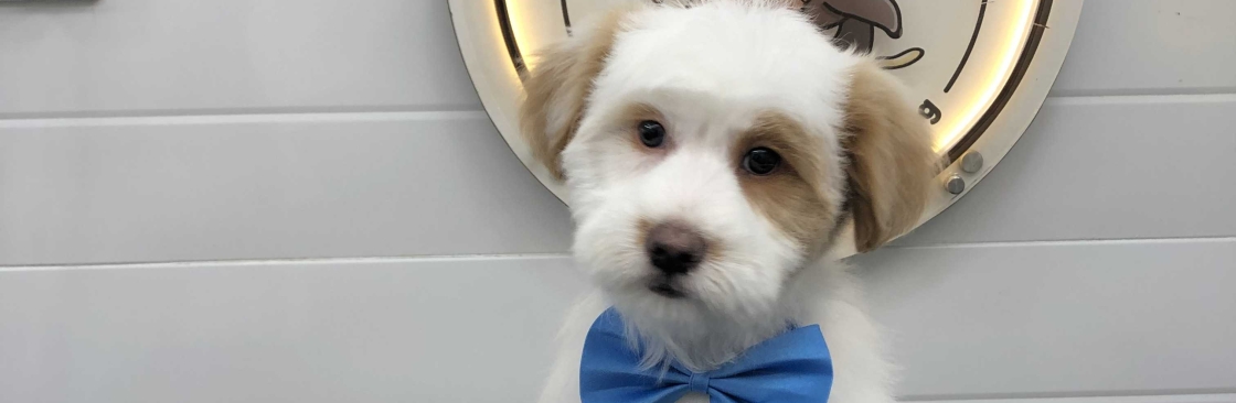 Fluffy Tails Qatar Cover Image