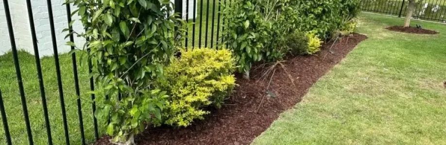 All Seasons Landscaping Cover Image