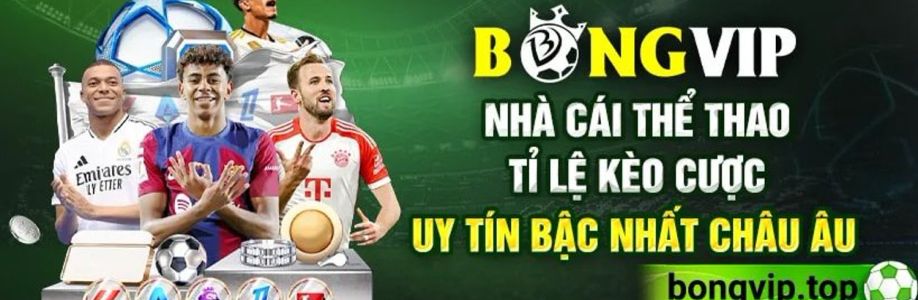 Bongvip Top Cover Image