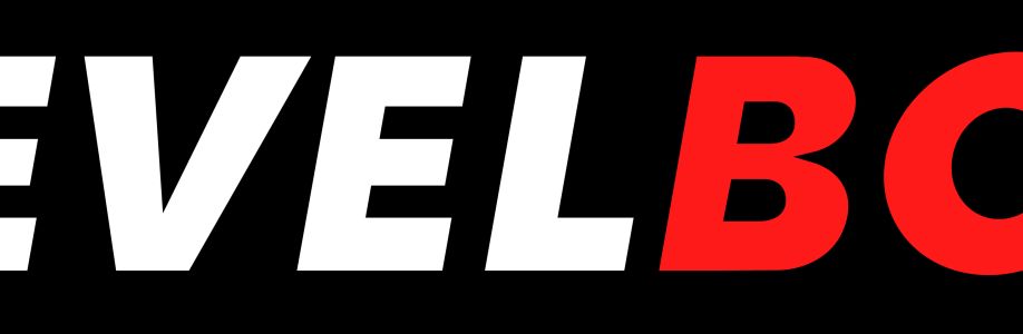 Level Book Cover Image