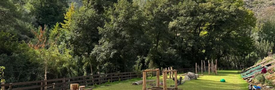 Back To Nature - Glamping & Events Retreat Cover Image