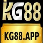 Kg88 app