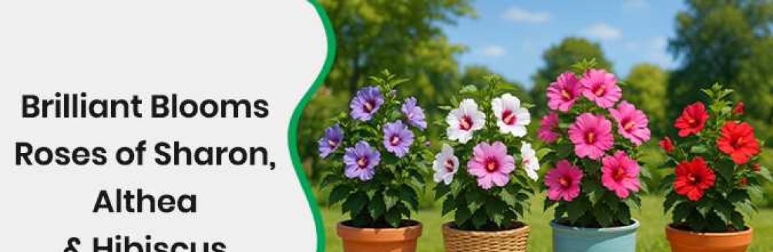 pixies garden Cover Image