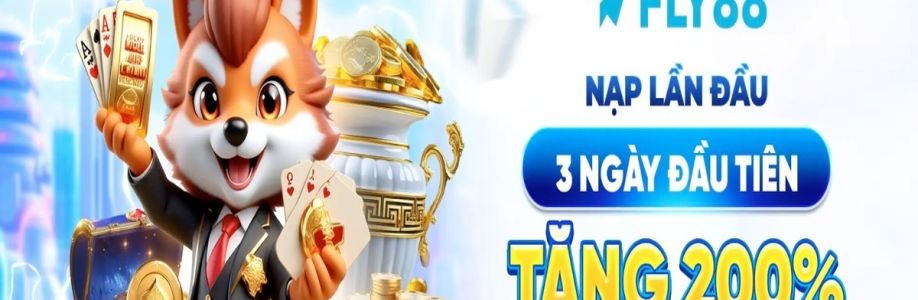 FLY88 DEAL Cover Image