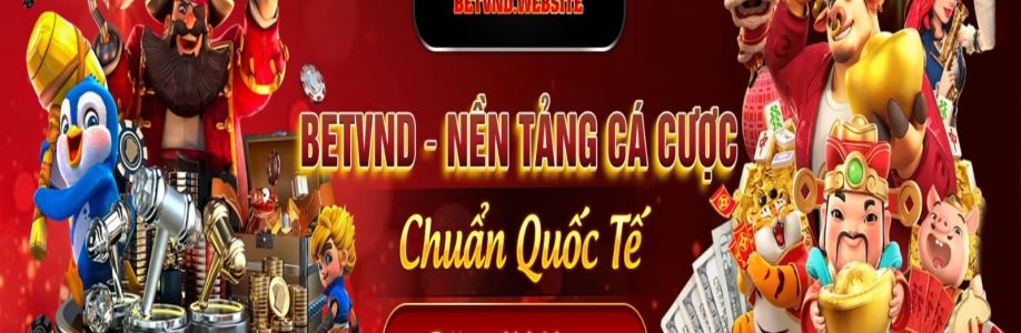 betvnd website Cover Image