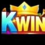 kwin bio Profile Picture