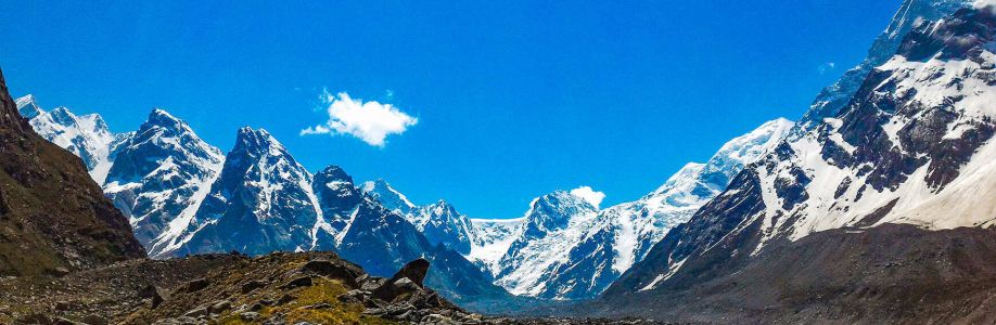 Trek The himalayas Cover Image