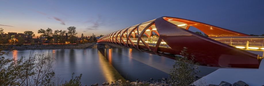 Premium Private Limousine Cover Image