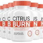 Citrus Burn Profile Picture