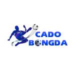 CÁ ĐỘ BÓNG ĐÁ