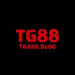 Tg888 blog