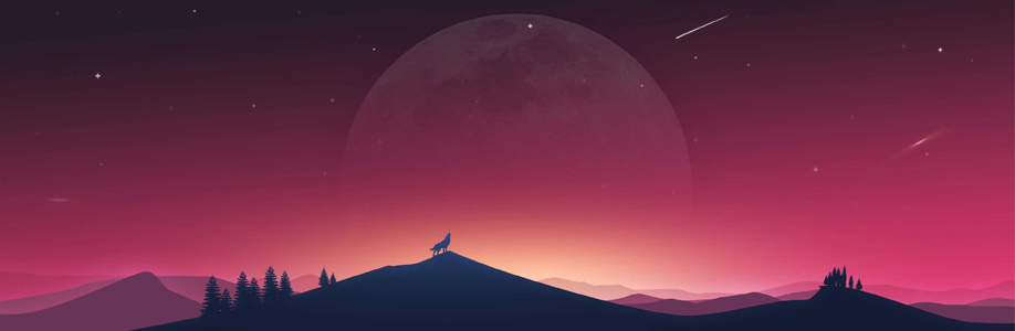 Benky Cover Image